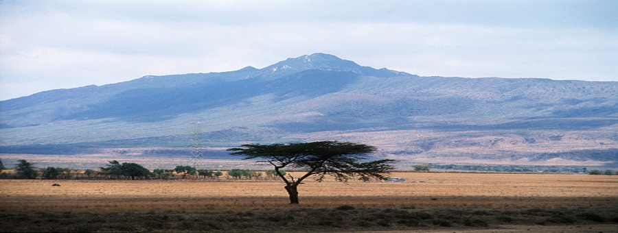 Affordable Kenya Safari kenya packages 2022-2023