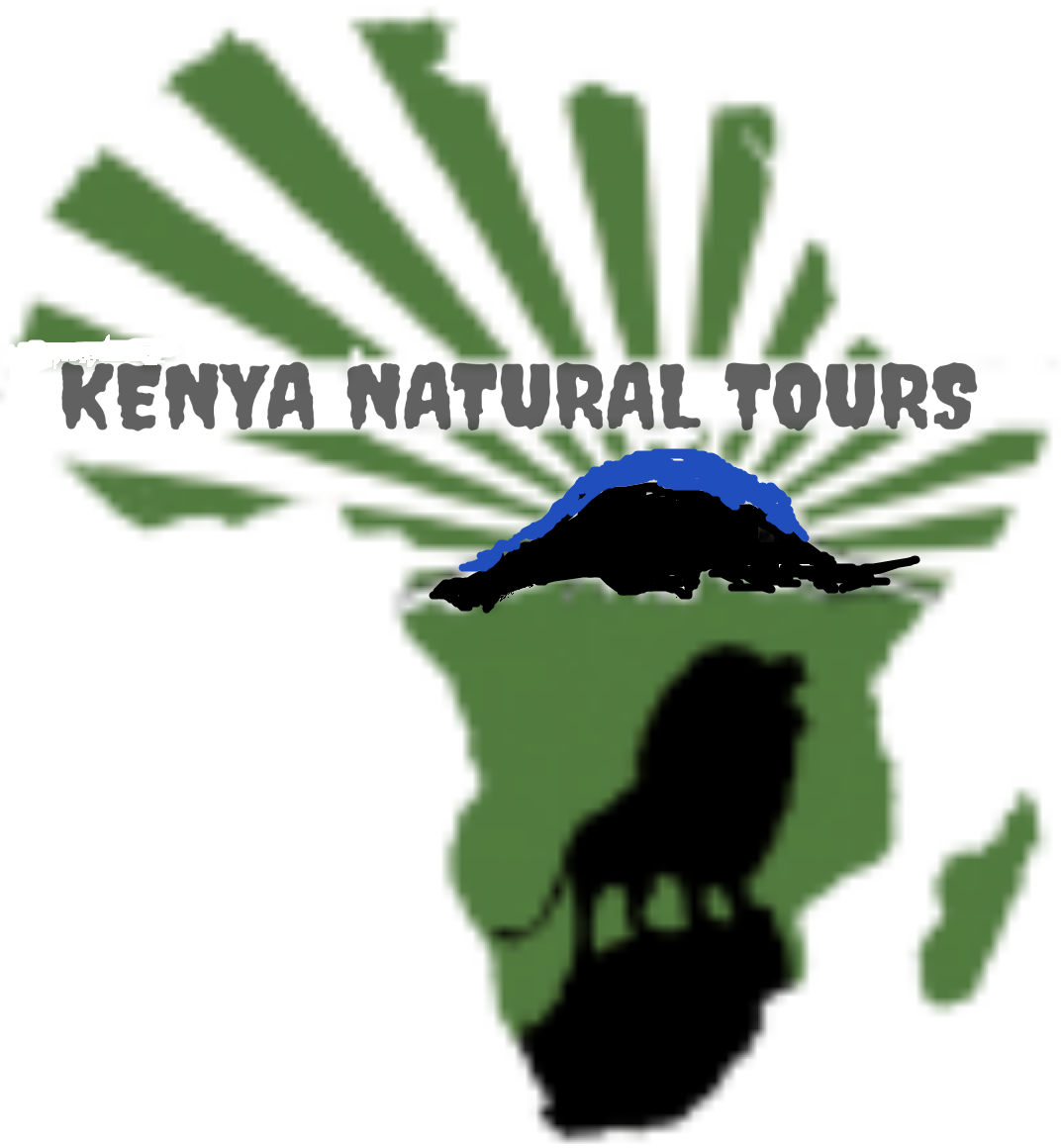 Kenya Natural Tours logo